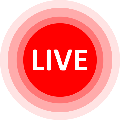 Chat 321 Adult